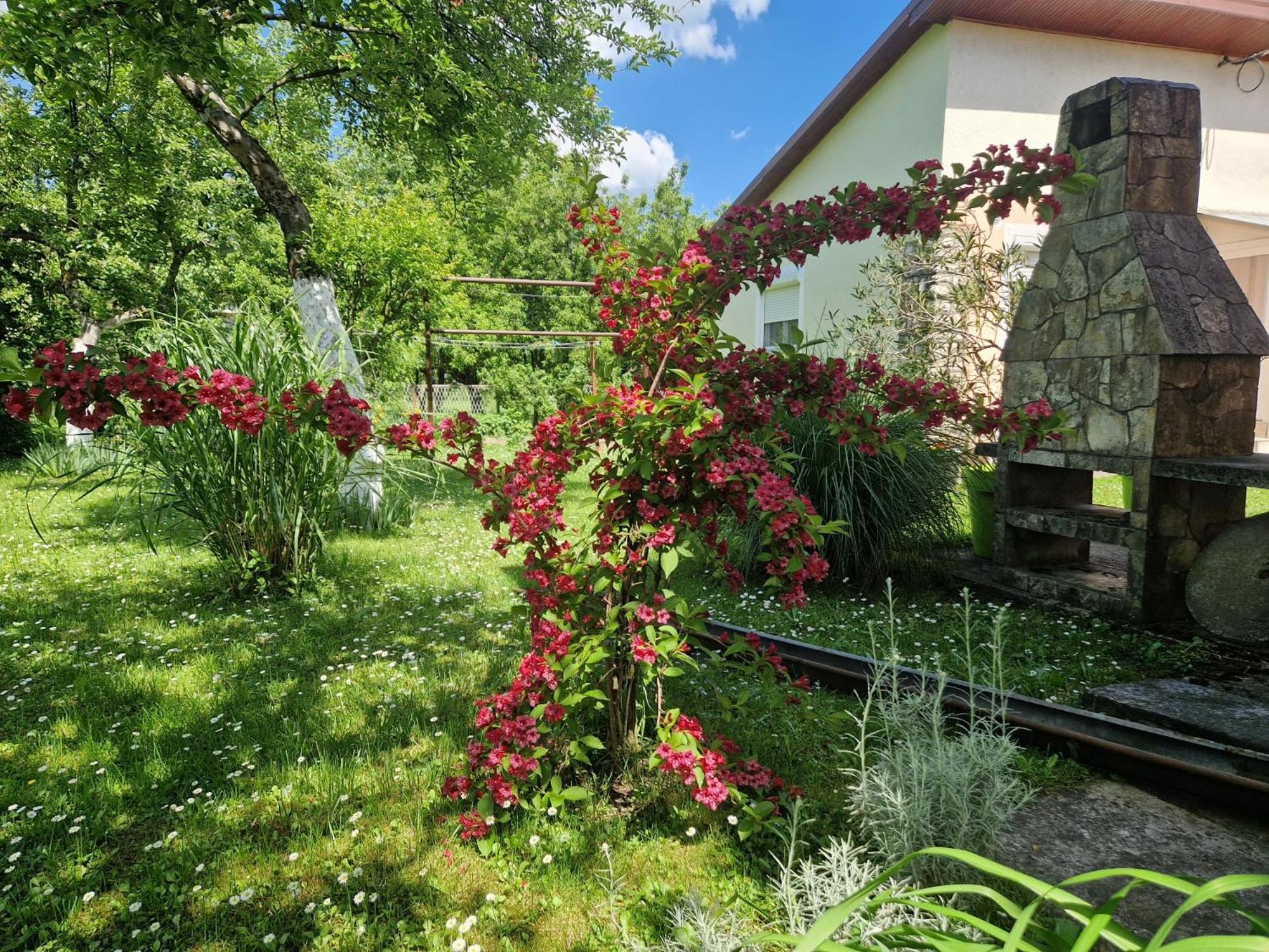 Studio Apartman Marica - Ogulin, Hrvatska 外观 照片