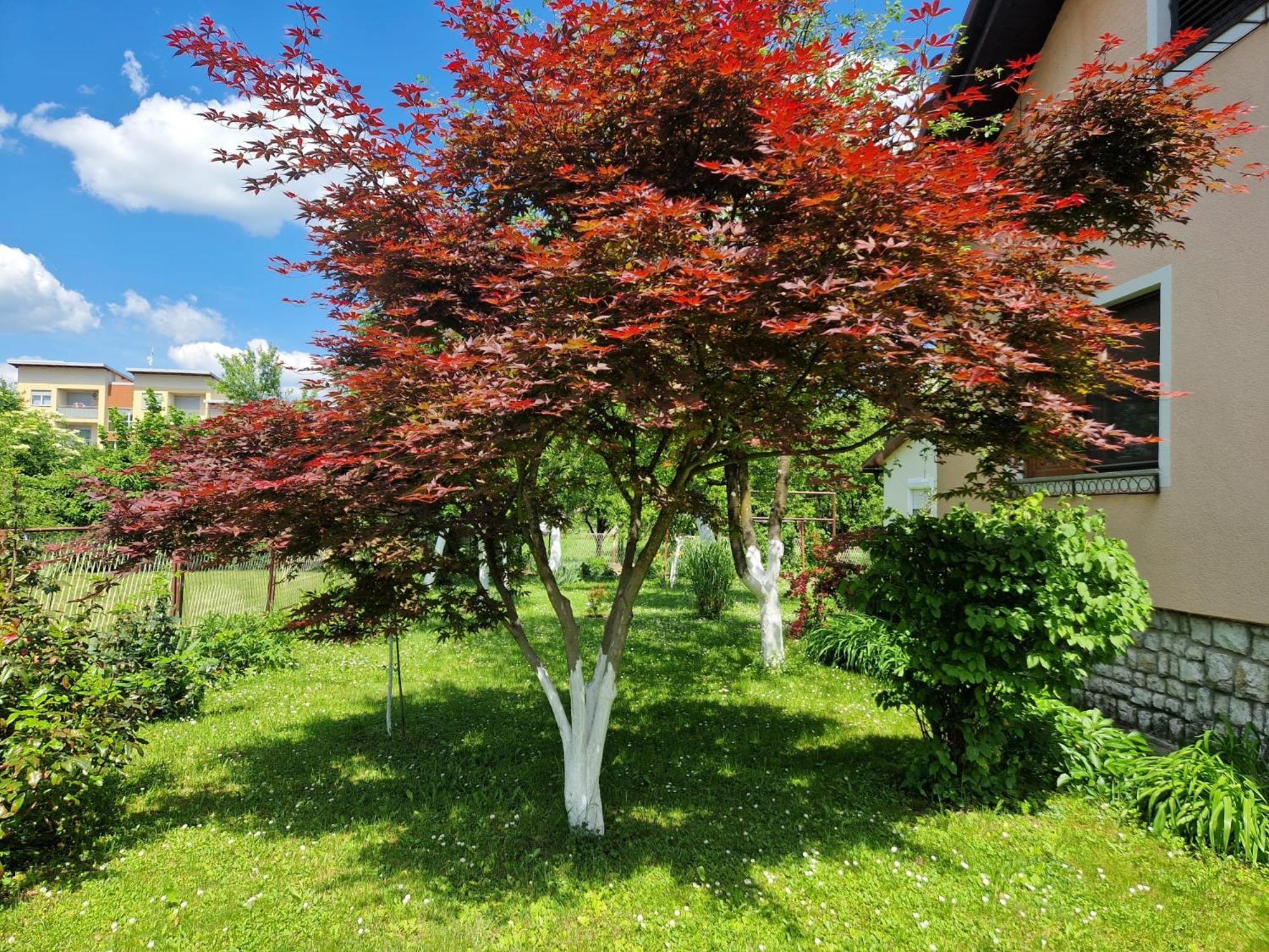Studio Apartman Marica - Ogulin, Hrvatska 外观 照片